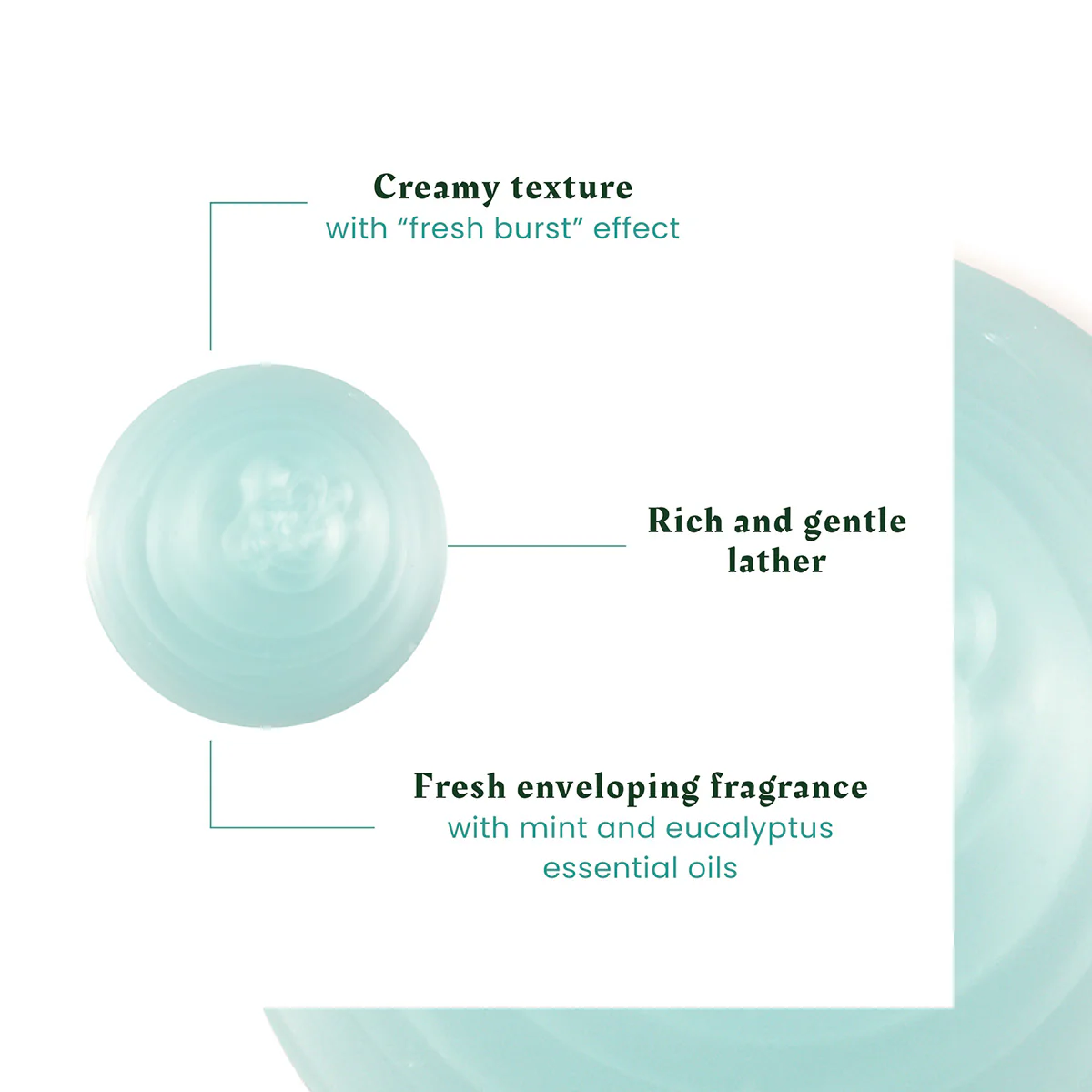 Rene Furtere|Astera Fresh Soothing Freshness Shampoo|250ml - Image 5